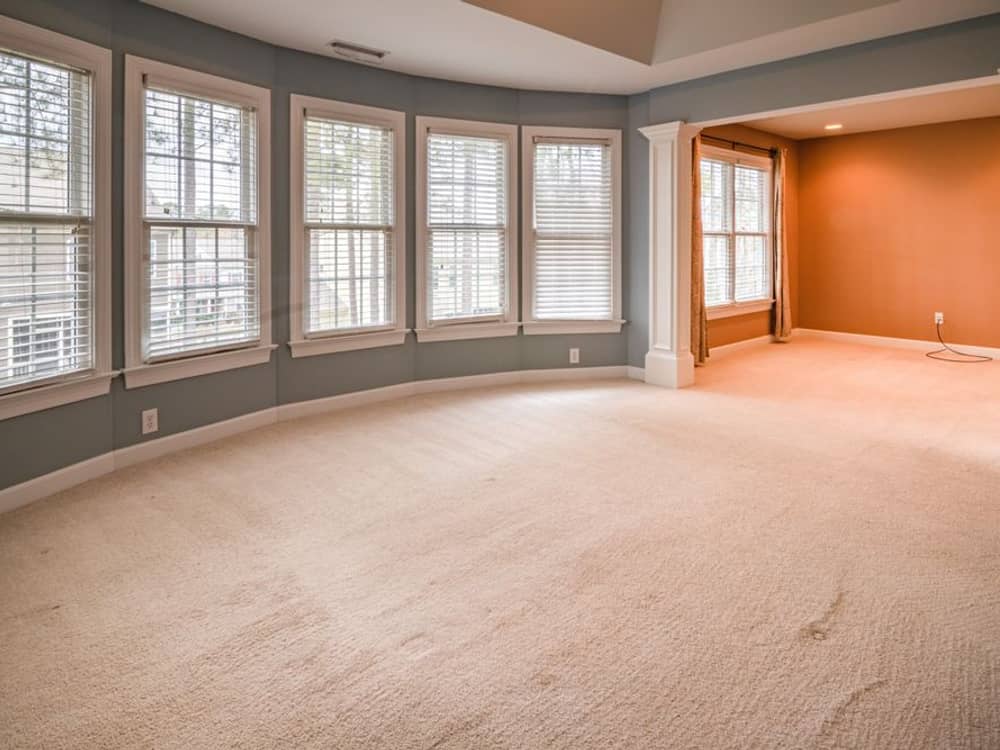 Wall-to-Wall Carpets